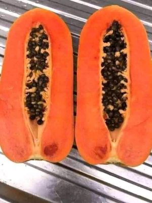 Ripe papaya