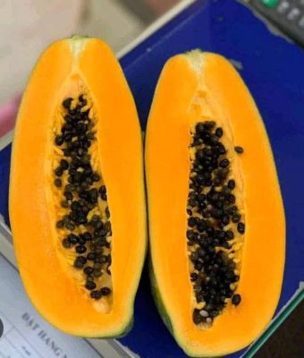 Trái cây Đủ đủ chín hữu cơ - Papaya