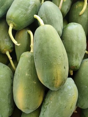 Trái cây Đủ đủ chín hữu cơ - Papaya