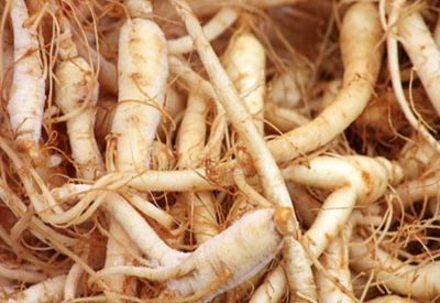 Rau Sâm đất-Talinum Vegetable