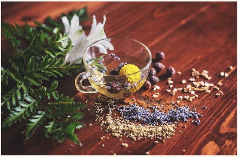 Bảo hành và đổi trả