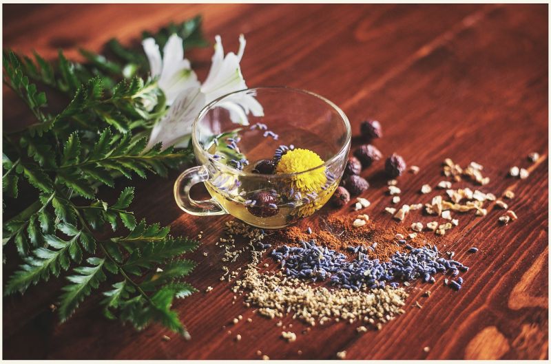 Hợp tác phân phối
